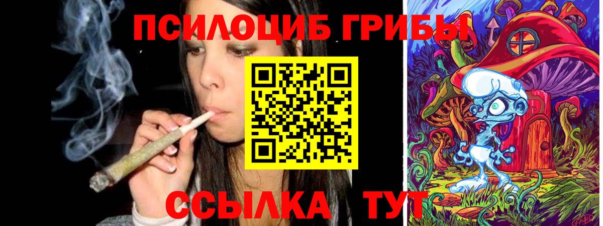 Псилоцибиновые грибы GOLDEN TEACHER Сорочинск