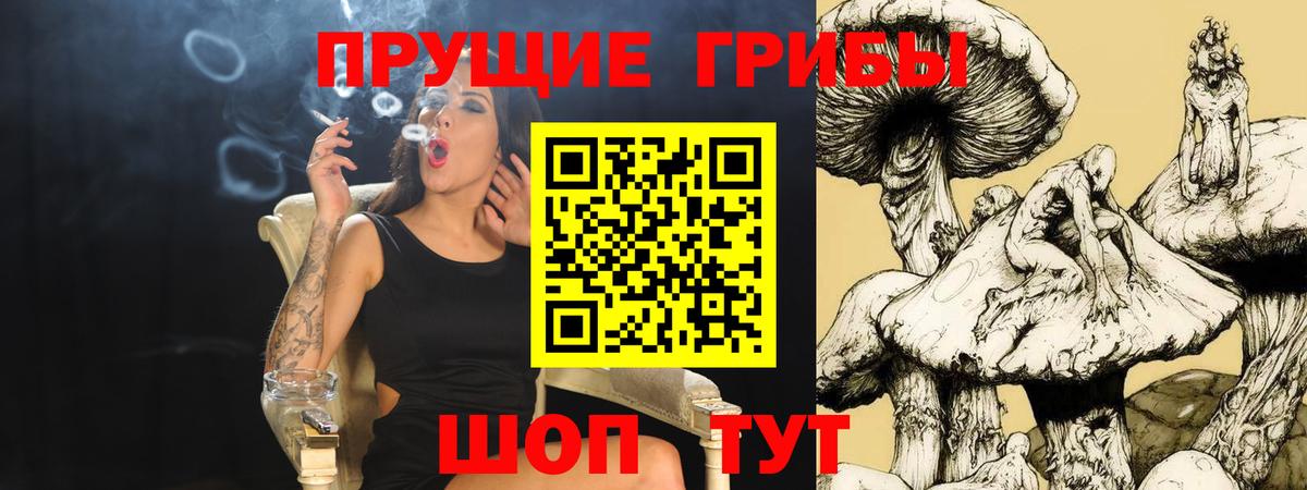 Галлюциногенные грибы мухоморы  Вход с VPN  Сорочинск  Псилоцибиновые грибы MAGIC MUSHROOMS 