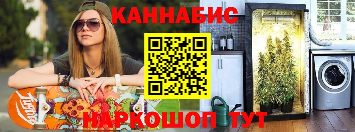 Канабис гибрид Сорочинск